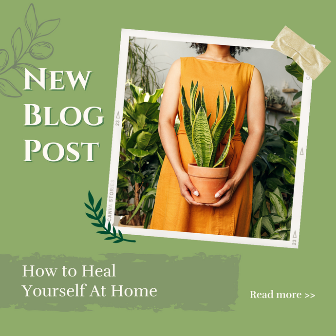 How to Heal Yourself At Home with Indoor Gardening