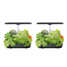 Load image into Gallery viewer, 2 X FAMILY GARDEN | Harvest More with Equal Time