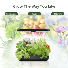 Load image into Gallery viewer, FAMILY GARDEN | Harvest More with Equal Time