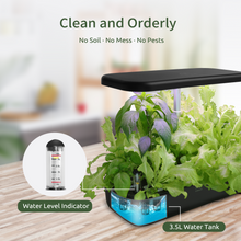 Load image into Gallery viewer, FAMILY GARDEN | Harvest More with Equal Time