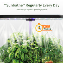 Load image into Gallery viewer, 2 X FAMILY GARDEN | Harvest More with Equal Time