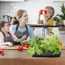 Load image into Gallery viewer, FAMILY GARDEN | Harvest More with Equal Time