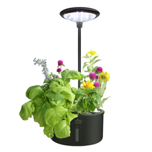 Load image into Gallery viewer, LITE GARDEN | Small but mighty
