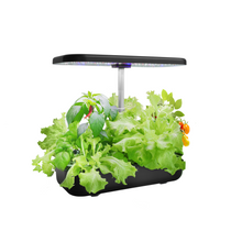 Load image into Gallery viewer, FAMILY GARDEN | Harvest More with Equal Time
