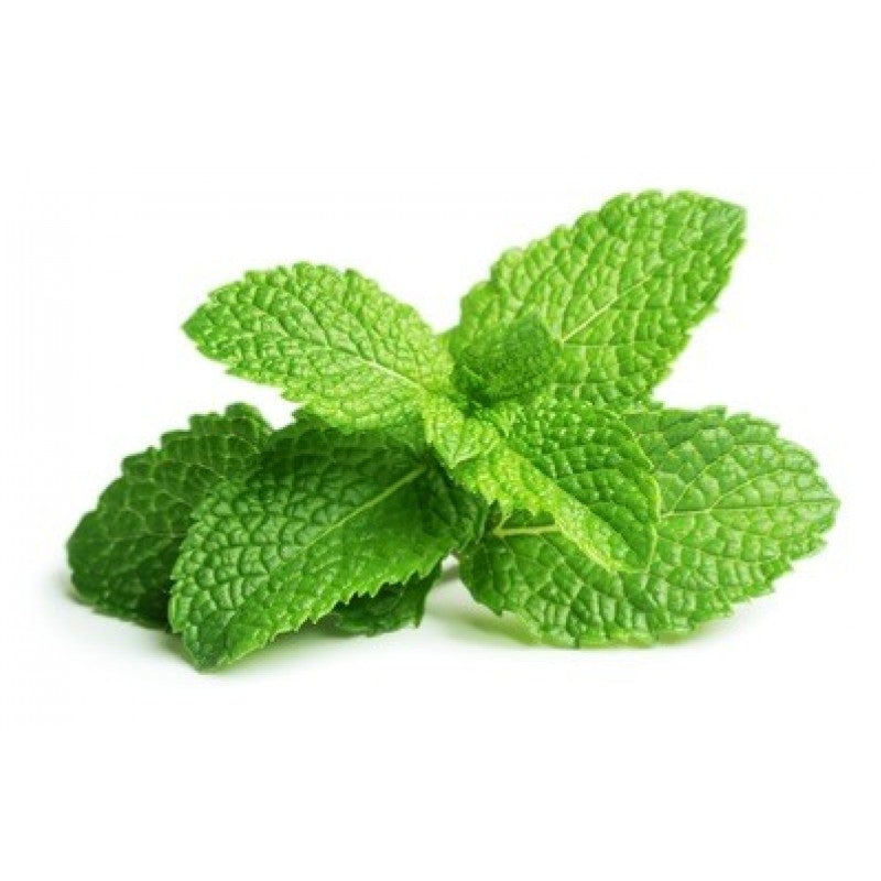 Peppermint Seed