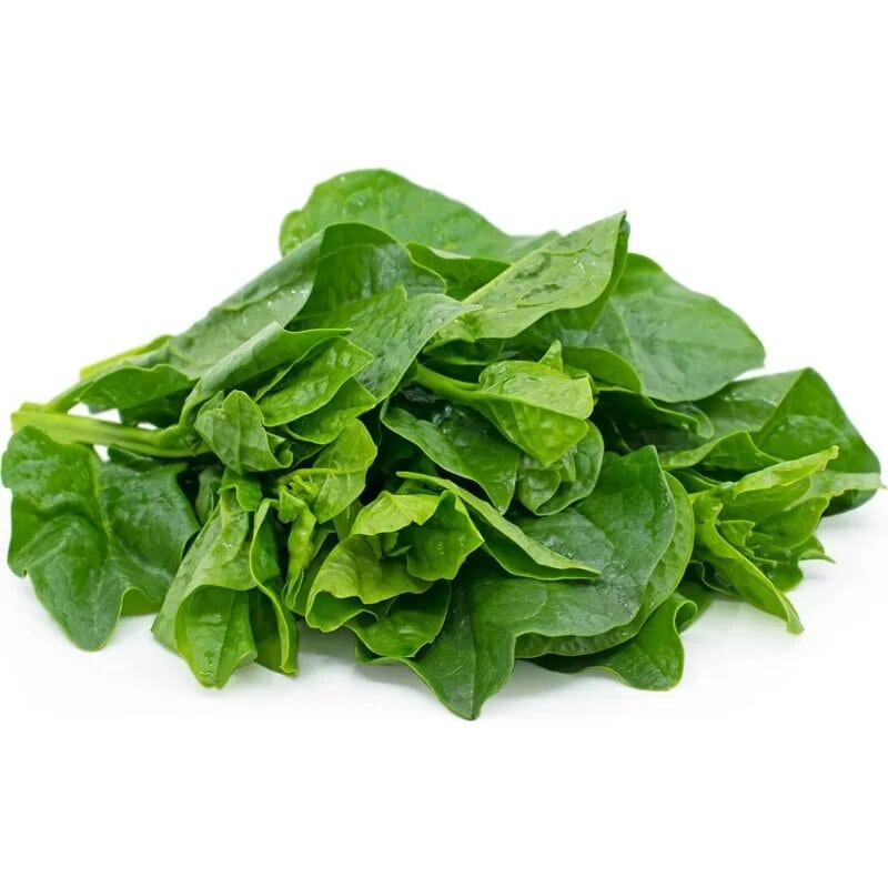 Remayong (Spinach) Seed